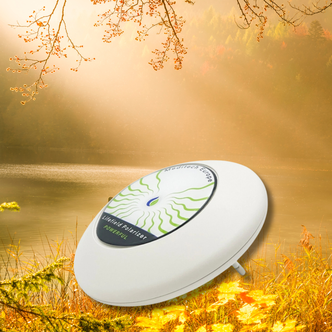 Dein Schutz und Harmonisierer für die Herausforderungen der modernen Welt