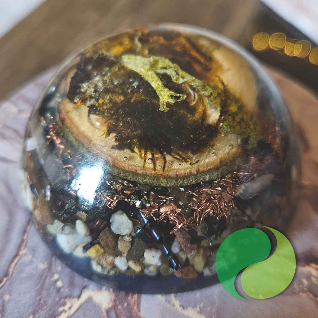 Unsere Orgonit Kuppel