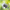Die Polarizer Plate im Alltag