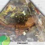 Orgonit Pyramide - 14cm