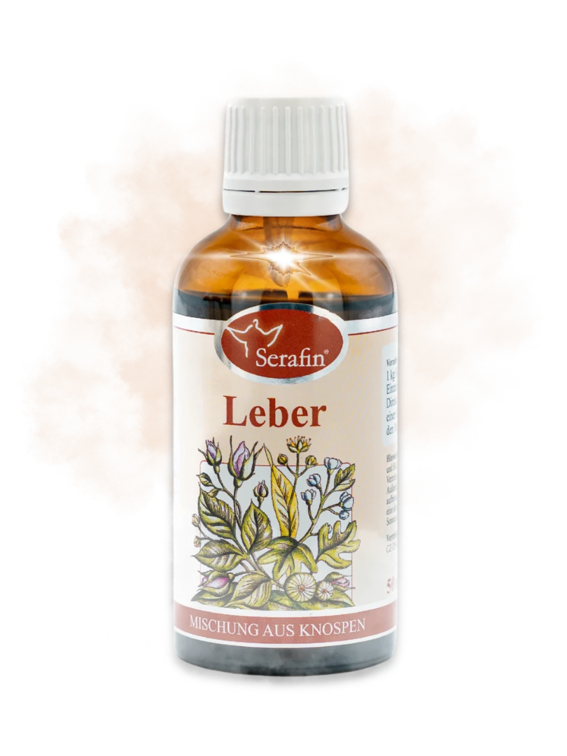 Leber