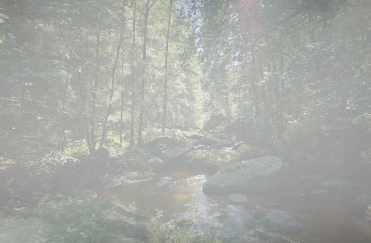 <p>Herzlich <em>Willkommen</em><br/>bei Pure Harmony</p>