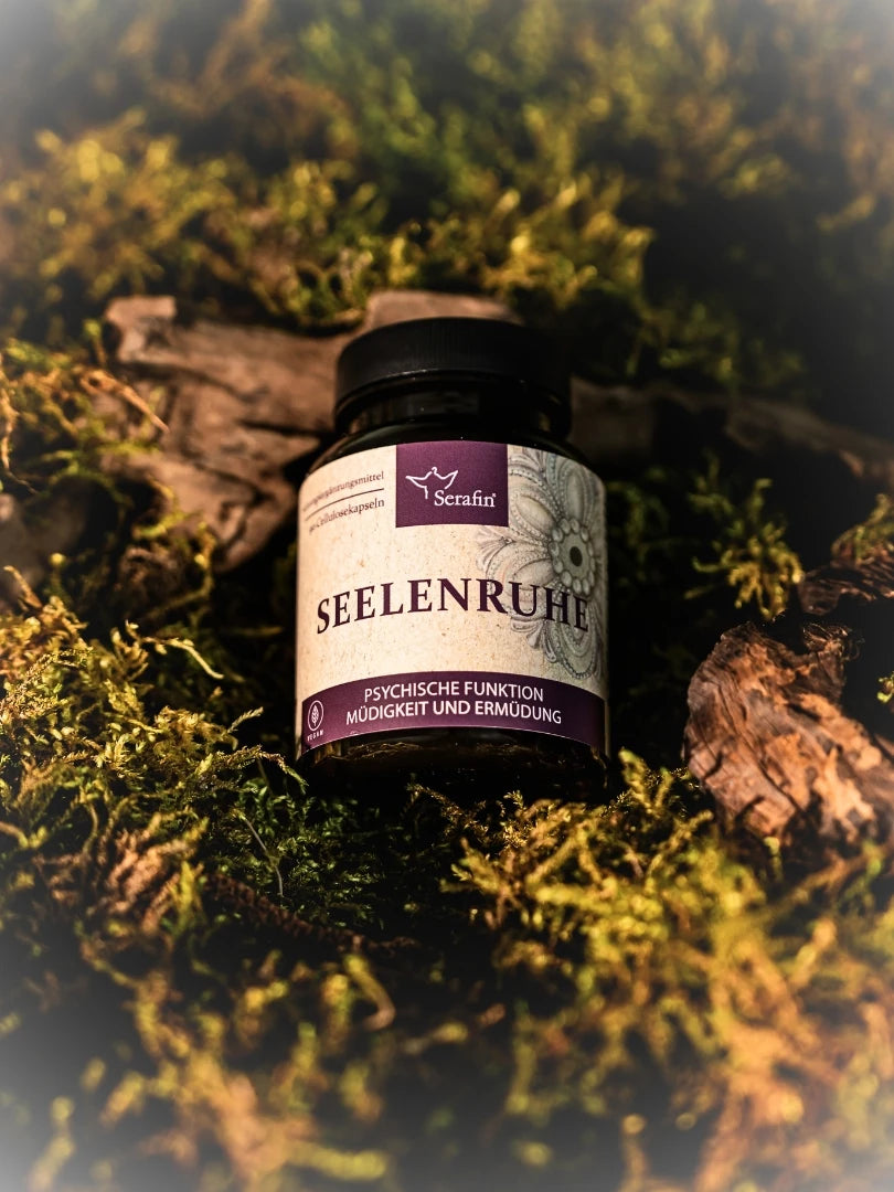 Stress & Erschöpfung? Seelenruhe Magnesium B-Komplex – 28% günstiger
